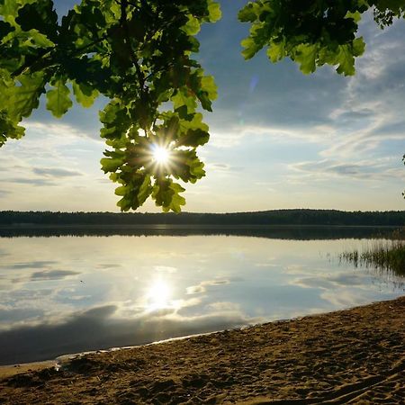 Bungalow Matilda Lauchhammer Экстерьер фото